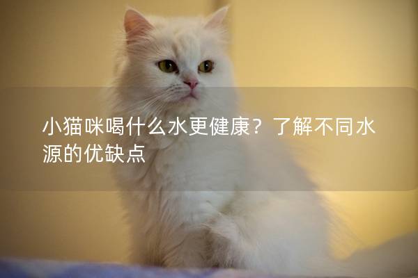 小貓咪喝什么水更健康？了解不同水源的優(yōu)缺點(diǎn)