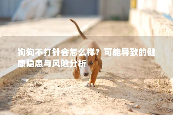 狗狗不打針會怎么樣？可能導致的健康隱患與風險分析