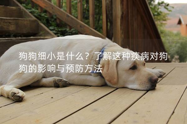 狗狗細(xì)小是什么？了解這種疾病對(duì)狗狗的影響與預(yù)防方法