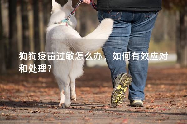 狗狗疫苗過敏怎么辦,如何有效應對和處理? 狗狗疫苗過敏怎么辦,如何有效應對和處理?