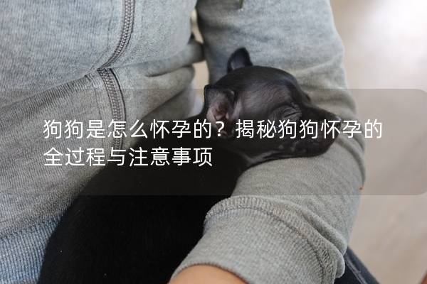 狗狗是怎么懷孕的？揭秘狗狗懷孕的全過程與注意事項