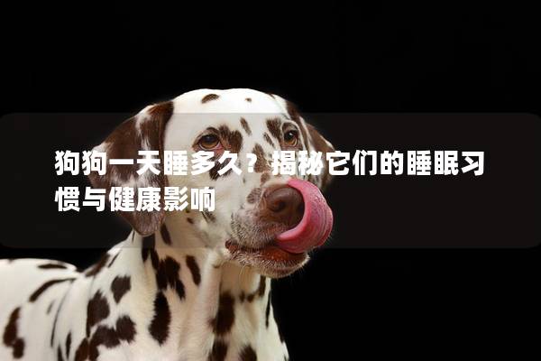 狗狗一天睡多久？揭秘它們的睡眠習慣與健康影響