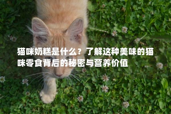 貓咪奶糕是什么？了解這種美味的貓咪零食背后的秘密與營養價值