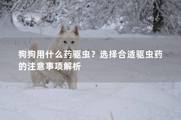狗狗用什么藥驅(qū)蟲？選擇合適驅(qū)蟲藥的注意事項解析