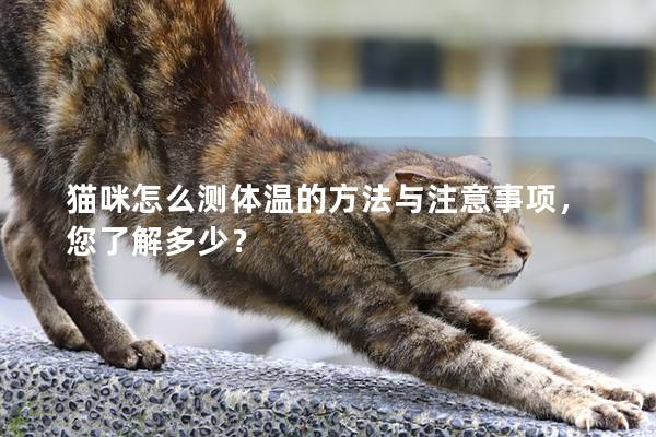 貓咪怎么測(cè)體溫的方法與注意事項(xiàng)，您了解多少？