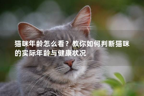 貓咪年齡怎么看？教你如何判斷貓咪的實際年齡與健康狀況