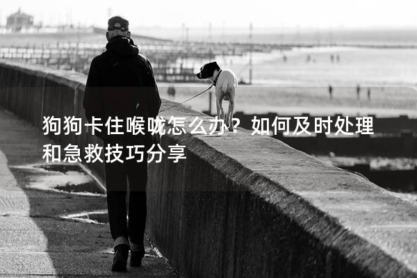 狗狗卡住喉嚨怎么辦？如何及時(shí)處理和急救技巧分享