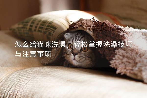 怎么給貓咪洗澡，輕松掌握洗澡技巧與注意事項