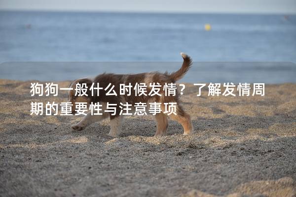 狗狗一般什么時候發情？了解發情周期的重要性與注意事項