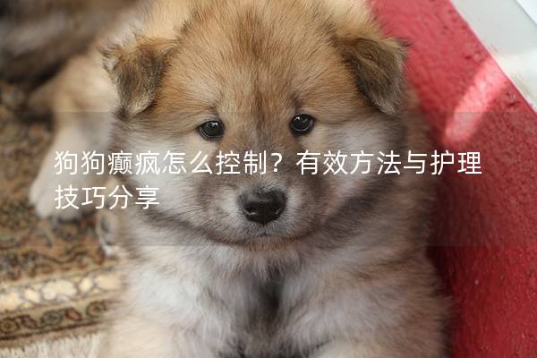 狗狗癲瘋怎么控制？有效方法與護(hù)理技巧分享