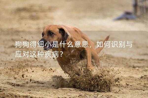 狗狗得細小是什么意思，如何識別與應對這種疾??？