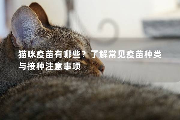貓咪疫苗有哪些？了解常見疫苗種類與接種注意事項