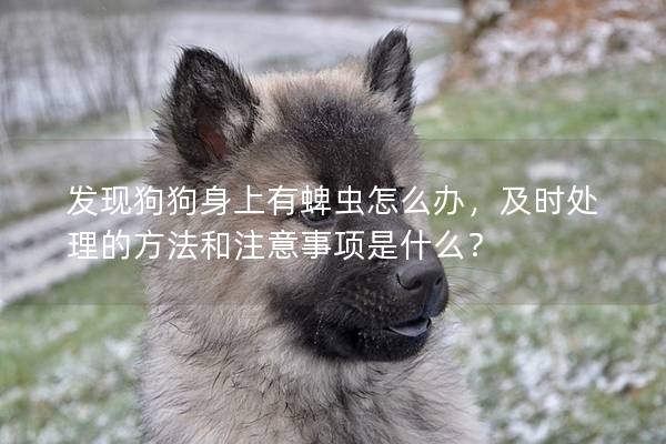 發現狗狗身上有蜱蟲怎么辦，及時處理的方法和注意事項是什么？