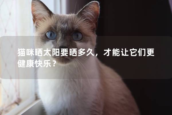 貓咪曬太陽要曬多久，才能讓它們更健康快樂？