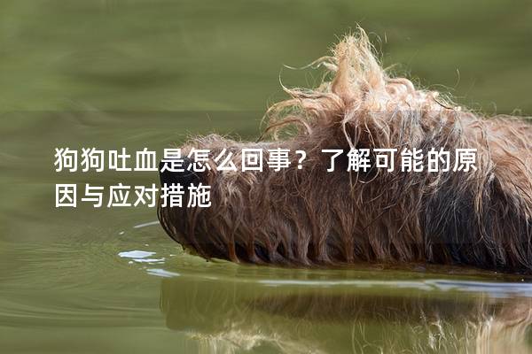 狗狗吐血是怎么回事?了解可能的原因與應對措施 狗狗吐血是怎么回事?了解可能的原因與應對措施