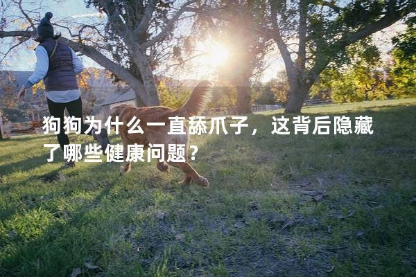 狗狗為什么一直舔爪子，這背后隱藏了哪些健康問題？