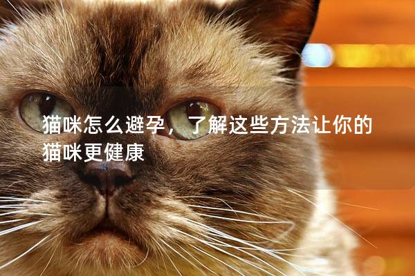 貓咪怎么避孕，了解這些方法讓你的貓咪更健康