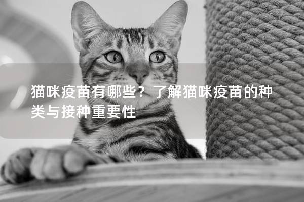 貓咪疫苗有哪些？了解貓咪疫苗的種類與接種重要性