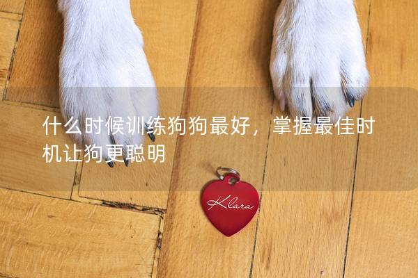 什么時候訓(xùn)練狗狗最好，掌握最佳時機讓狗更聰明