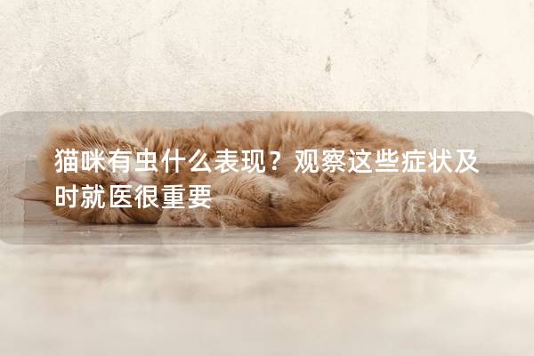 貓咪有蟲什么表現(xiàn)？觀察這些癥狀及時就醫(yī)很重要
