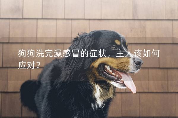 狗狗洗完澡感冒的癥狀，主人該如何應對？