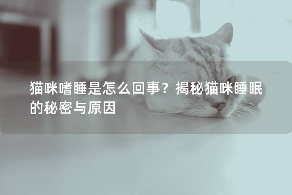 貓咪嗜睡是怎么回事？揭秘貓咪睡眠的秘密與原因