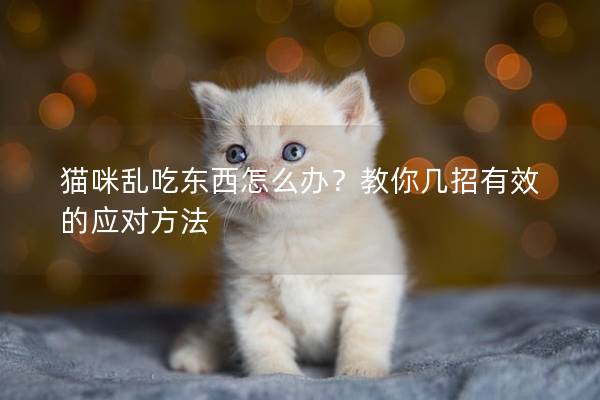 貓咪亂吃東西怎么辦？教你幾招有效的應對方法