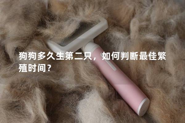 狗狗多久生第二只，如何判斷最佳繁殖時(shí)間？