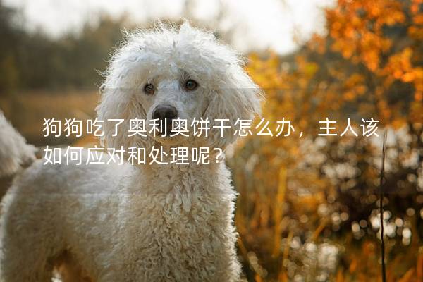 狗狗吃了奧利奧餅干怎么辦，主人該如何應(yīng)對和處理呢？
