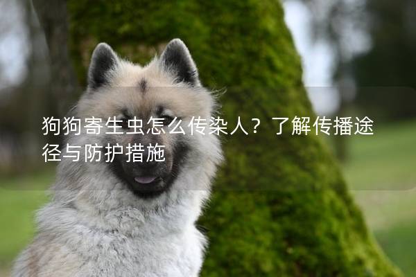 狗狗寄生蟲怎么傳染人？了解傳播途徑與防護措施