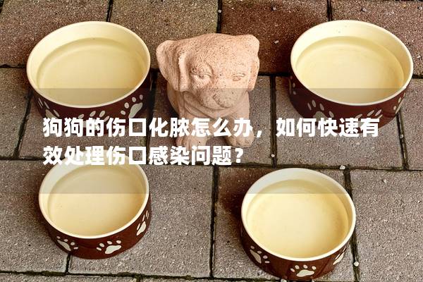 狗狗的傷口化膿怎么辦，如何快速有效處理傷口感染問題？