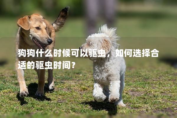 狗狗什么時候可以驅蟲，如何選擇合適的驅蟲時間？