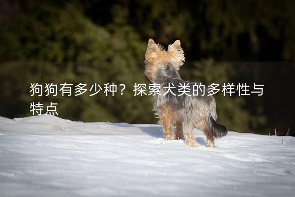 狗狗有多少種？探索犬類的多樣性與特點(diǎn)