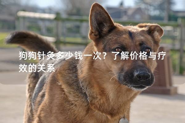 狗狗針灸多少錢一次？了解價(jià)格與療效的關(guān)系