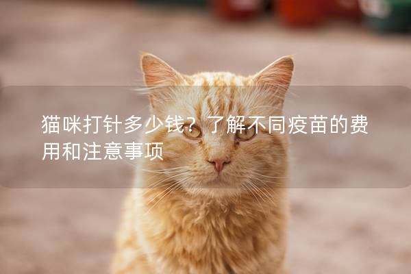 貓咪打針多少錢？了解不同疫苗的費用和注意事項