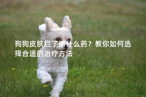 狗狗皮膚爛了擦什么藥？教你如何選擇合適的治療方法