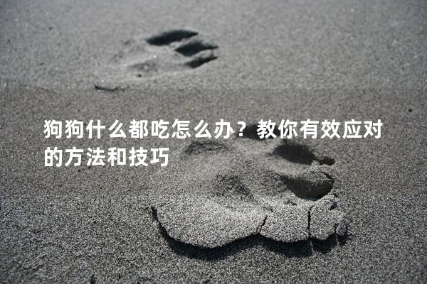 狗狗什么都吃怎么辦？教你有效應(yīng)對(duì)的方法和技巧