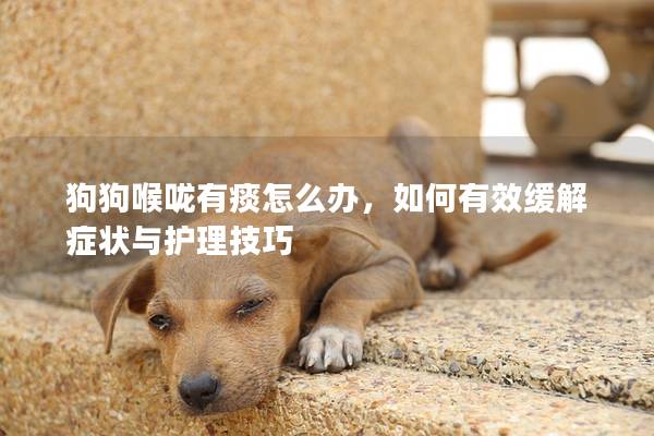 狗狗喉嚨有痰怎么辦，如何有效緩解癥狀與護(hù)理技巧