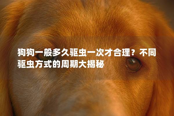 狗狗一般多久驅(qū)蟲一次才合理？不同驅(qū)蟲方式的周期大揭秘