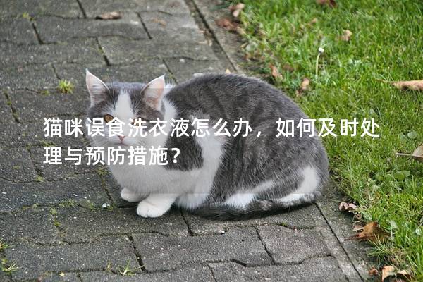 貓咪誤食洗衣液怎么辦，如何及時處理與預防措施？