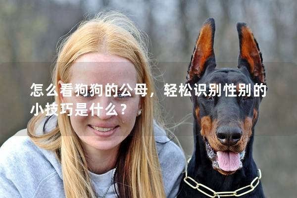 怎么看狗狗的公母,輕松識別性別的小技巧是什么? 怎么看狗狗的公母,輕松識別性別的小技巧是什么?