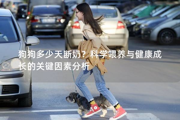 狗狗多少天斷奶？科學喂養與健康成長的關鍵因素分析
