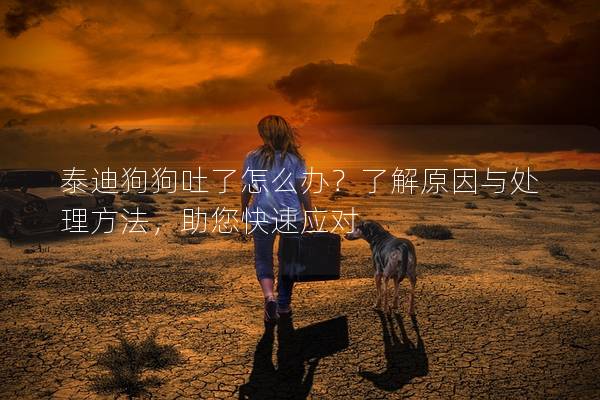 泰迪狗狗吐了怎么辦？了解原因與處理方法，助您快速應對