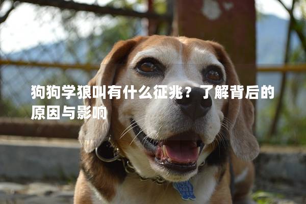 狗狗學(xué)狼叫有什么征兆？了解背后的原因與影響