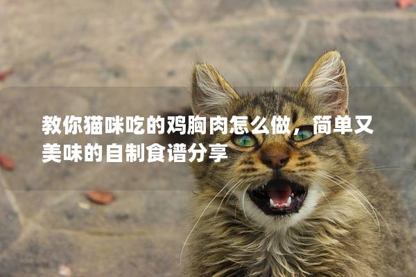 教你貓咪吃的雞胸肉怎么做，簡單又美味的自制食譜分享