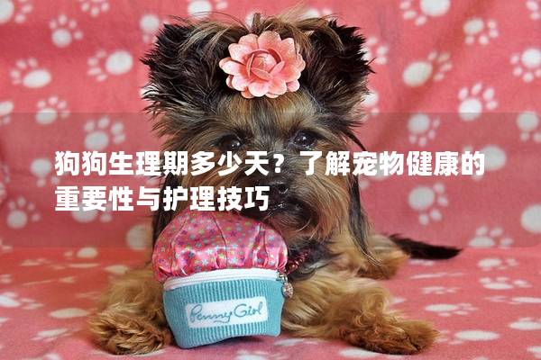 狗狗生理期多少天？了解寵物健康的重要性與護理技巧