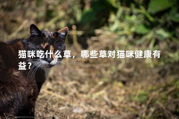 貓咪吃什么草，哪些草對貓咪健康有益？