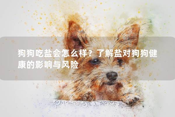 狗狗吃鹽會怎么樣？了解鹽對狗狗健康的影響與風險