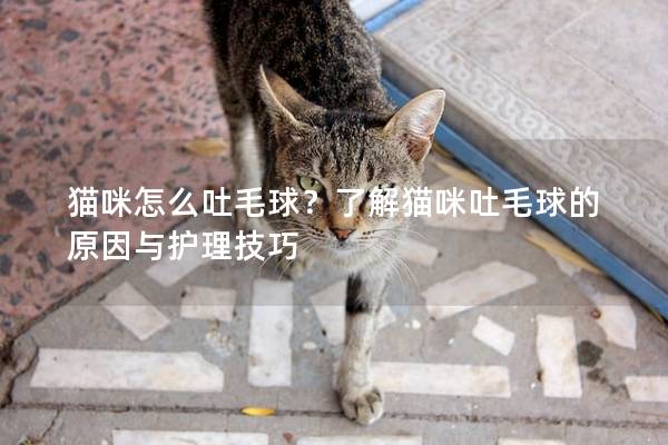貓咪怎么吐毛球？了解貓咪吐毛球的原因與護理技巧