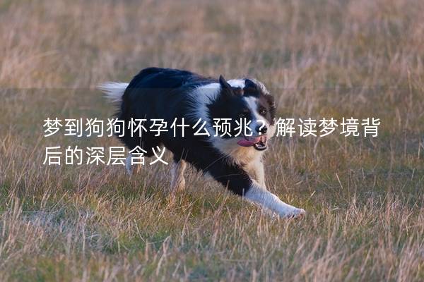夢到狗狗懷孕什么預兆？解讀夢境背后的深層含義